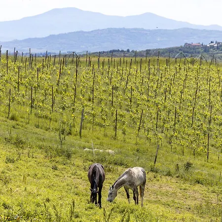 Pociano 1863 - With Stunning View Of Siena
