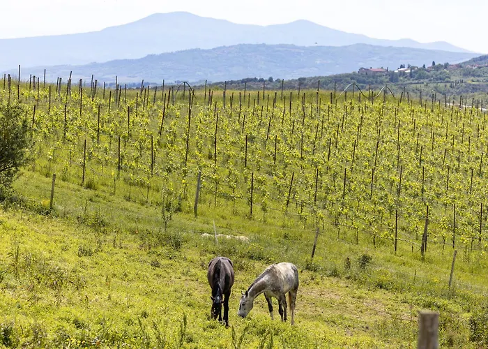 Pociano 1863 - With Stunning View Of Siena