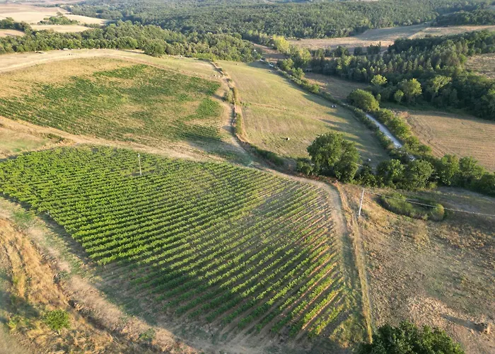 Pociano 1863 - With Stunning View Of Siena Апартаменты